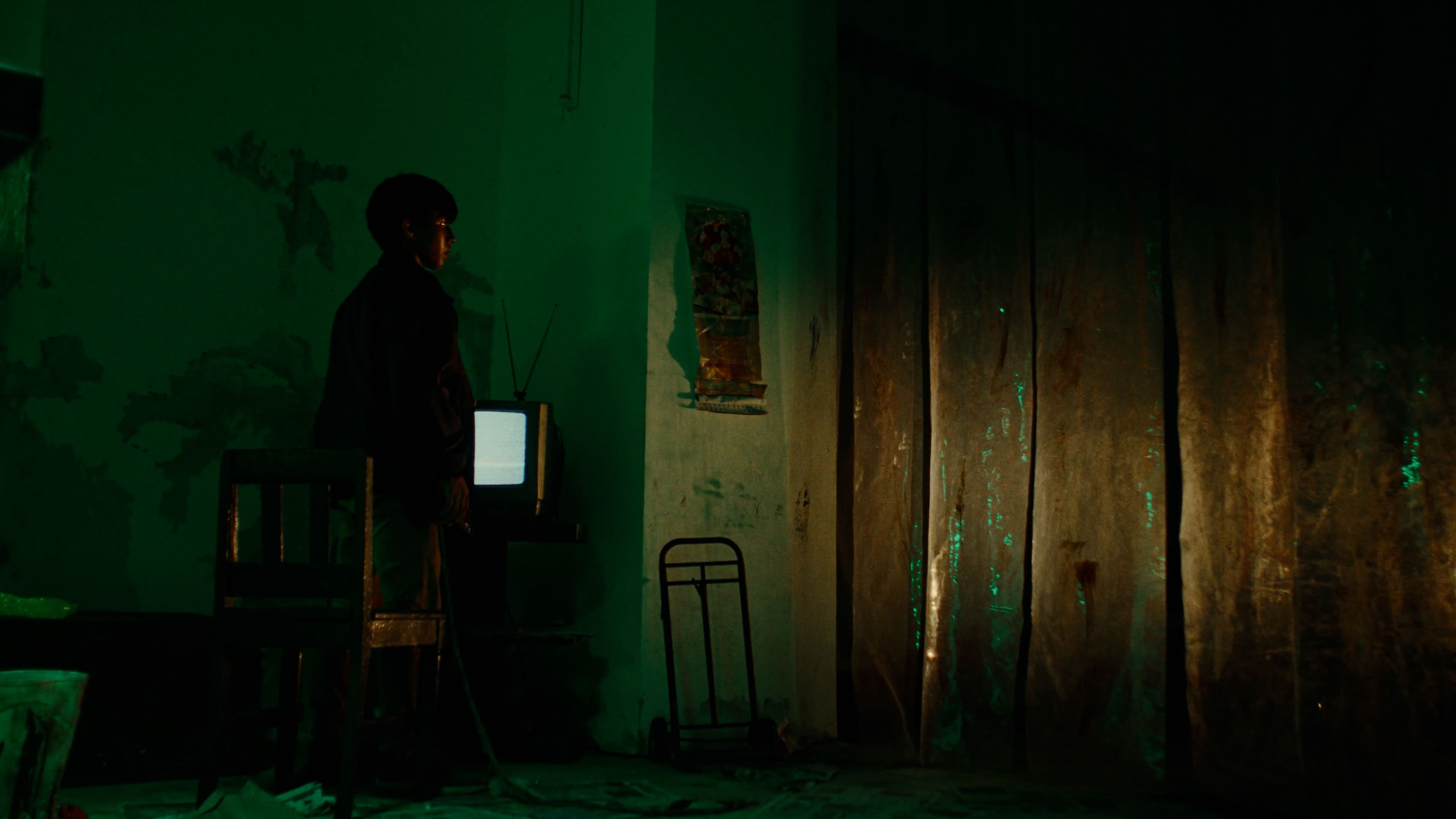 CARROÑA | SCREAMFEST