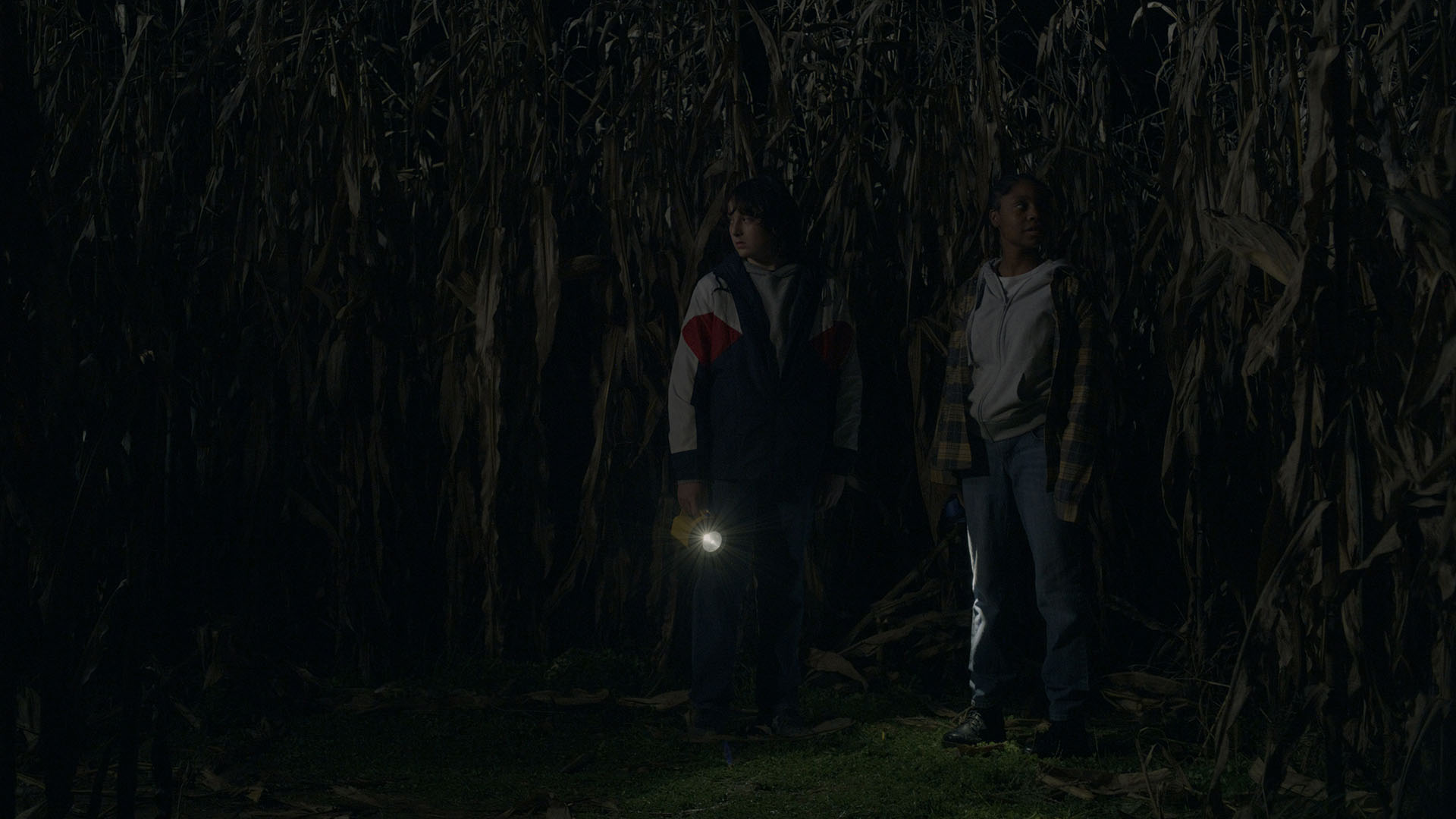 Cole and Shelby stand still in the middle of a cornfield, their flashlights illuminating the stalks around them.