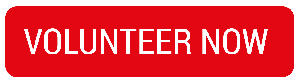Volunteer now button